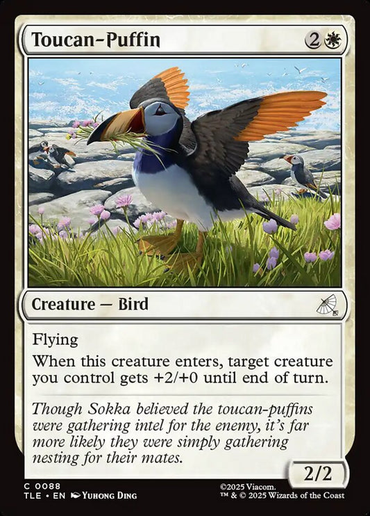 Toucan-Puffin card image