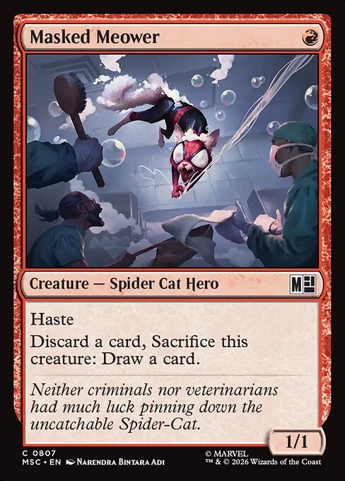 Masked Meower Magic: The Gathering card