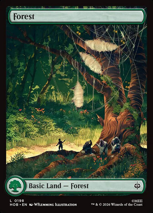 Forest card image